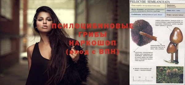 эйфоретик Алзамай