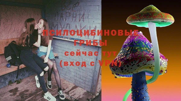прущие крисы Алексеевка